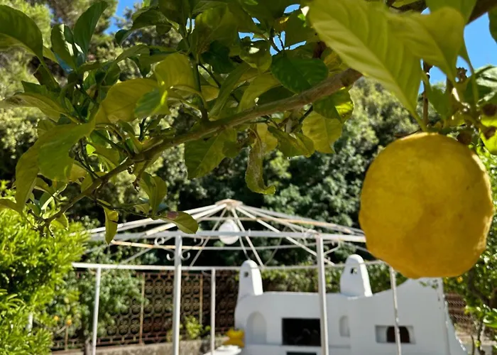 Villa Carruba Ischia
