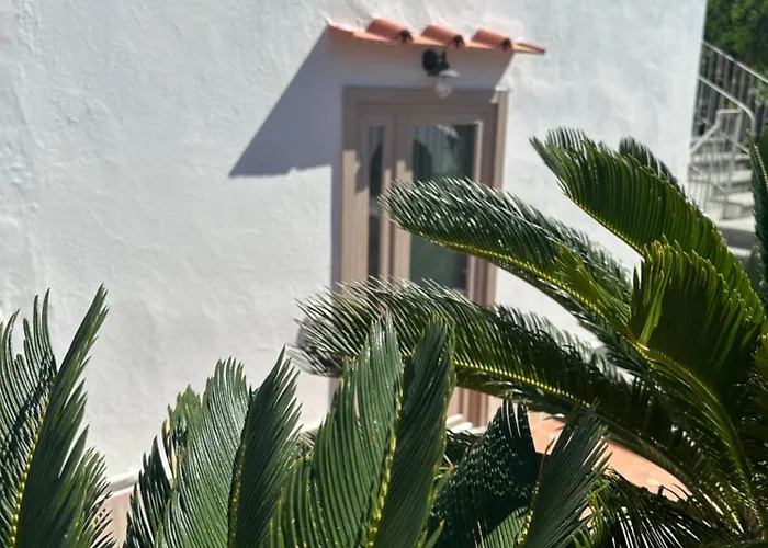 Villa Carruba Ischia